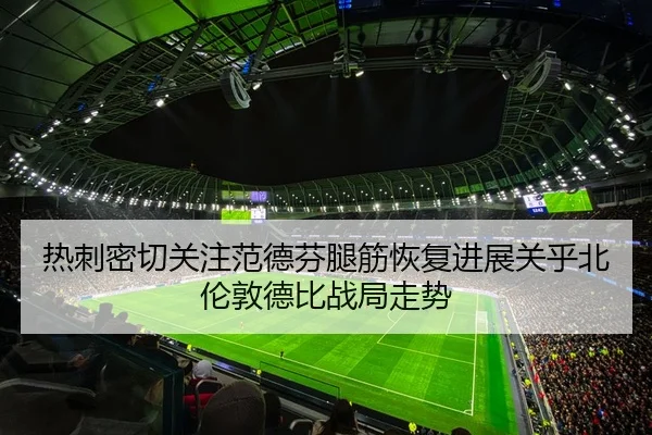 热刺密切关注范德芬腿筋恢复进展关乎北伦敦德比战局走势